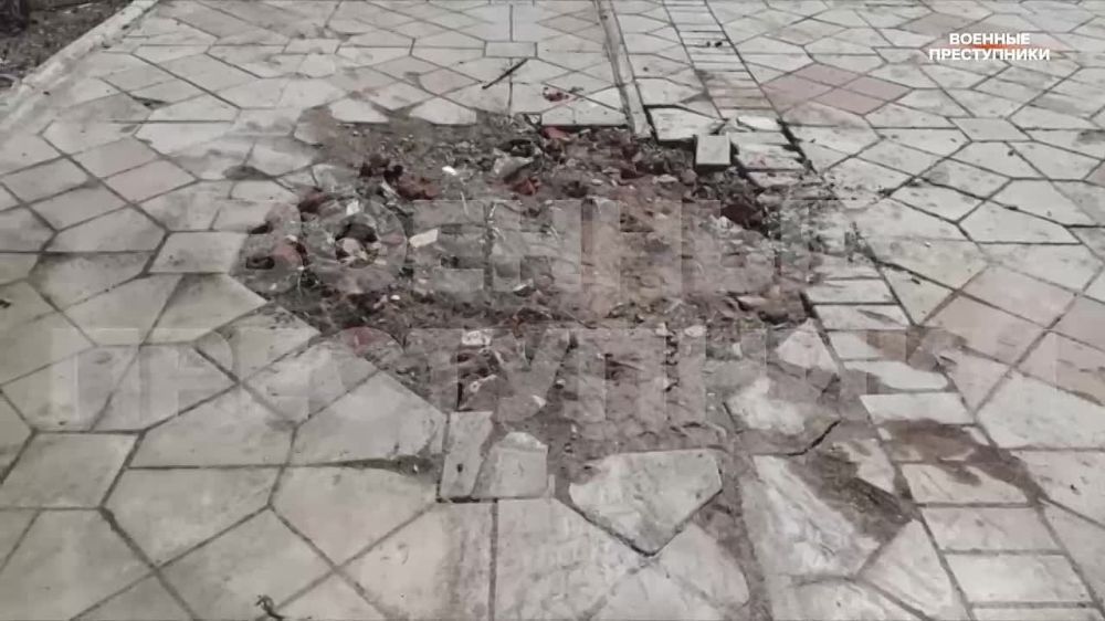 ��� ������ ������ �����