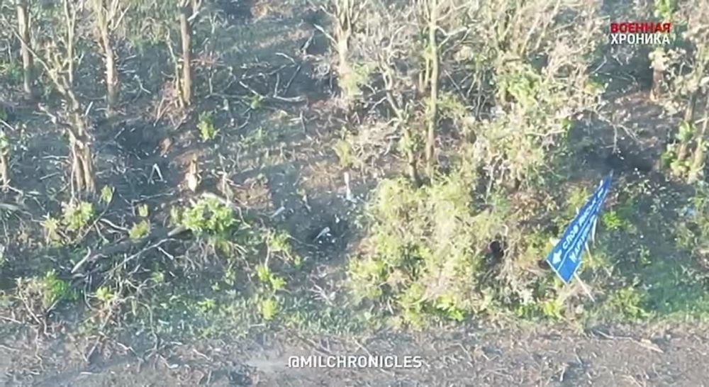 ������ �������� ������ �������� �� ������������ ���� ���������� ������