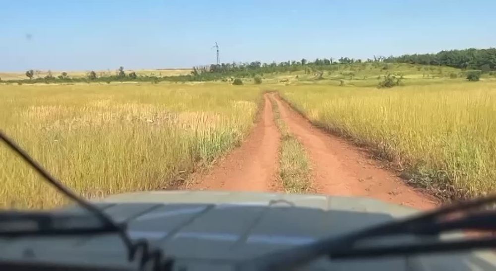 ������� ����� ��������� ������� @Sladkov_plus