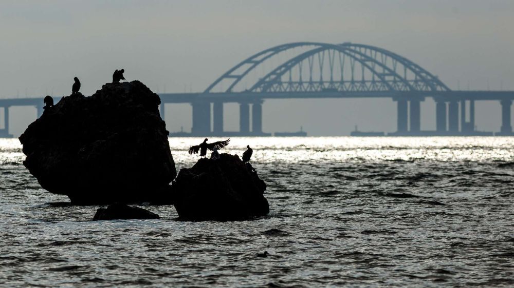 ������� ������� � ��������� ���, 17 ����