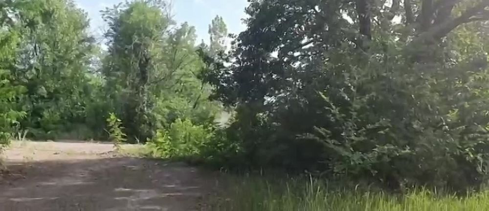 ��� � �������, ����������� ����� �� ����� ������� � ������� ���� ����������
