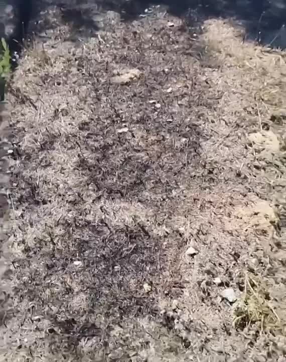 ���������� ��: ����� ���������� ������-��������� �� ����������� ��� ���� �� ���������� ����������� �� ������� � ����������� ����������