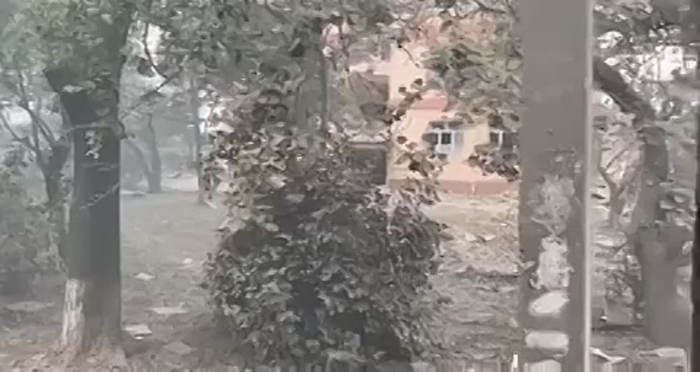 ����������� ���� �� ������������ ���������� �������� � �����������