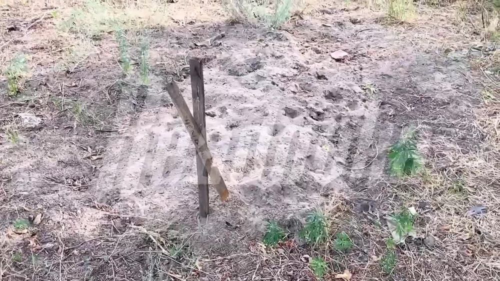 ���������� ������� ����������� ������ ������ ������� �������� � ��� ����� �� ������ ������ � ������� ��������� � ���, ��� ������� � ��� ������