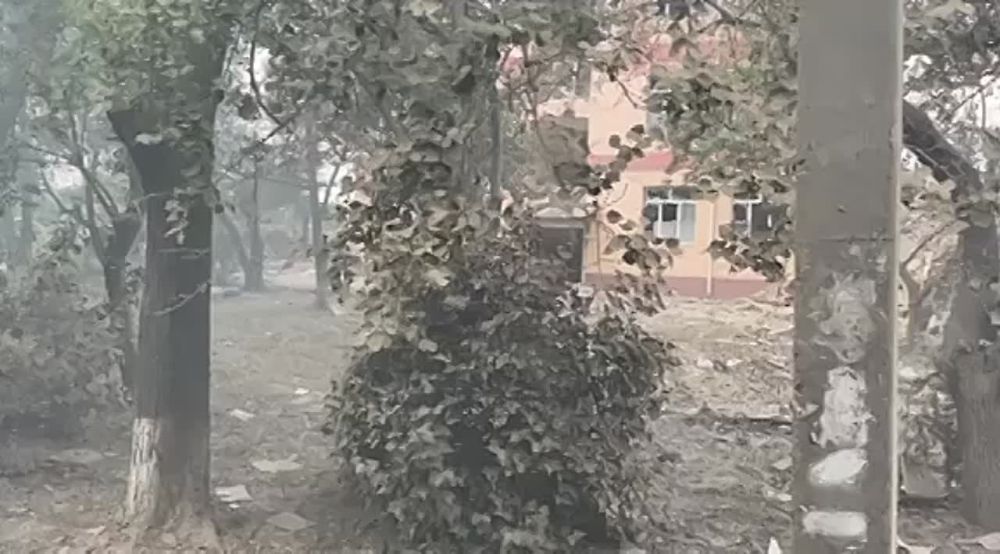 ���������� ������ �� �����������, �������������� � �������