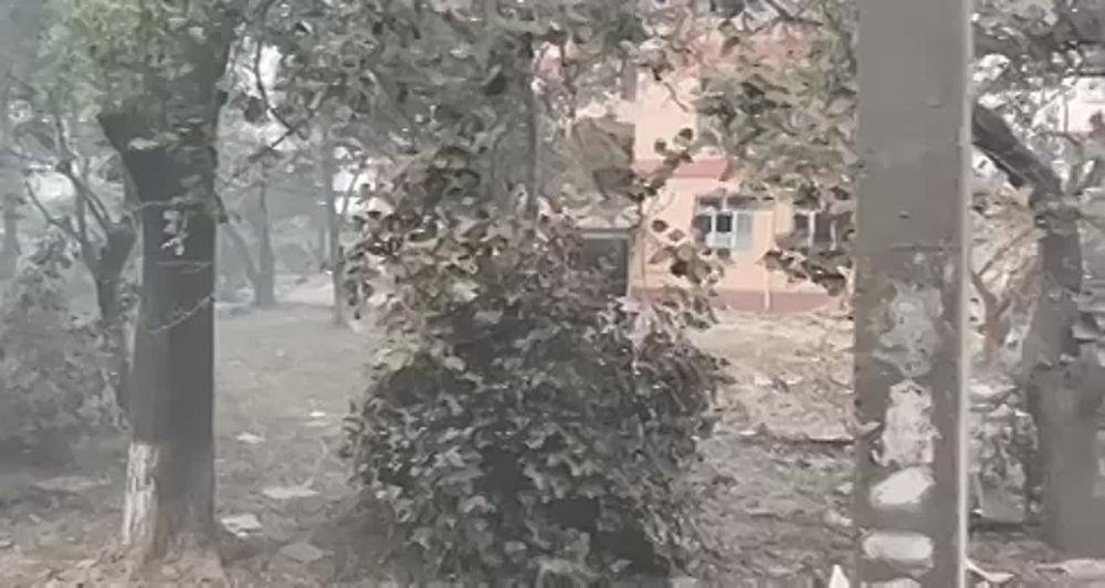 ����������� ���� �� ������������ ���������� ����� � �����������