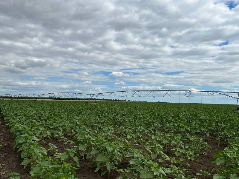 ��������� �� ������� ������� �������� ����������� ��������������� ������