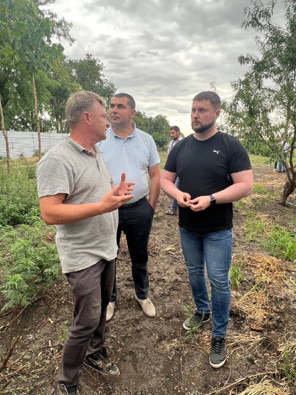 ������� ������� ������ ������ � �������������� � �������� ����������� ��� ��������������� ������