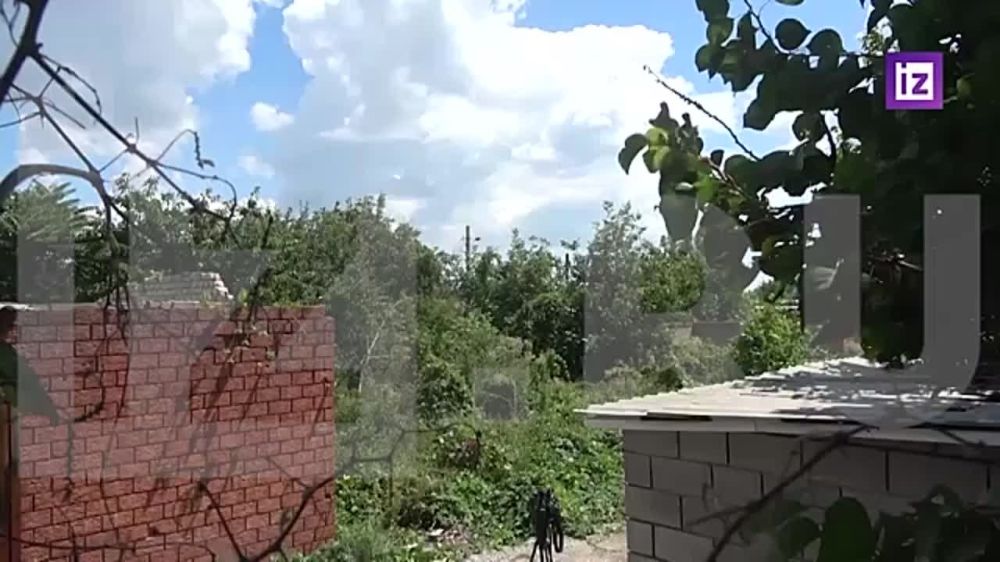 ����-������� ��� ���������� �������� ���� ��������� � �����