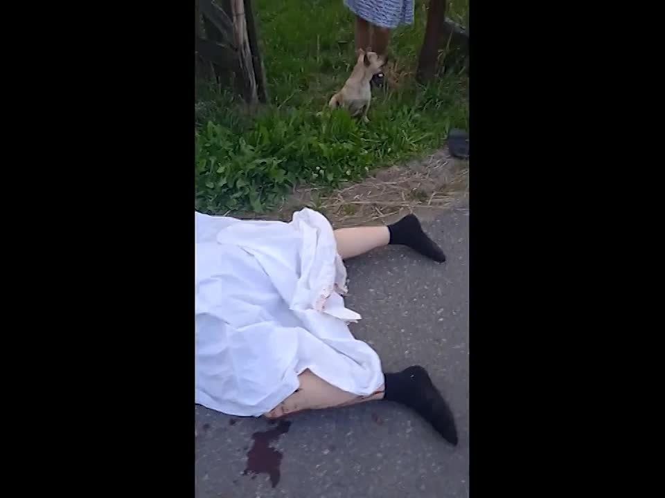 ����: ������� ������������� ��������� ������� �������� ���� ������ ��������� �������