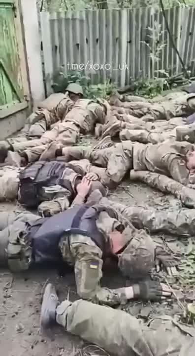 � ��� ������ ���� �� ��������� ���, �� ��������� ���-������ ���������