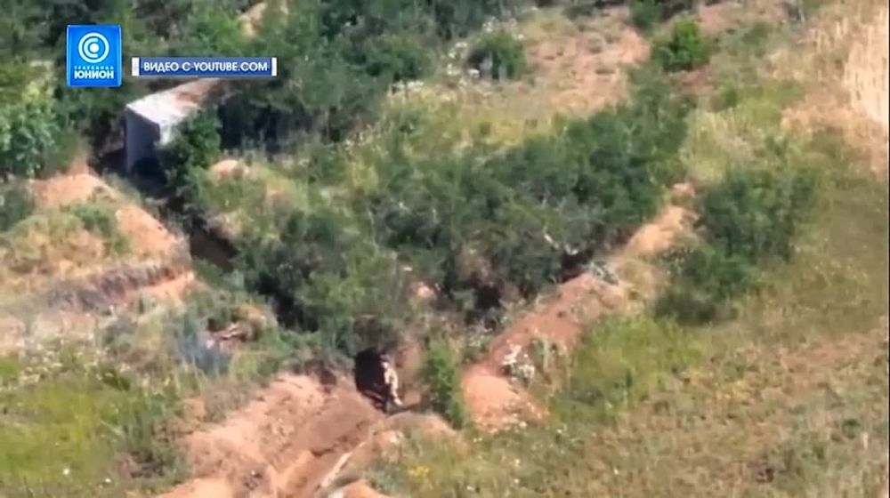 ��������� ���������: ���������� ��� ����� ���������!