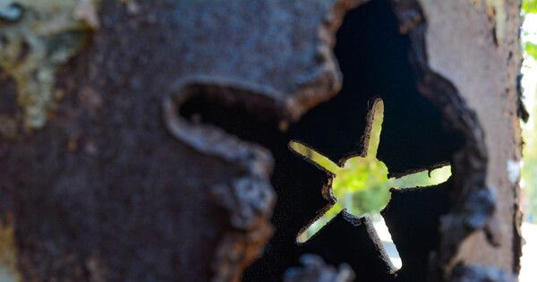 ��� ����� �������� ������ ������� ��� � ����� �����, ��� ��������� � ������