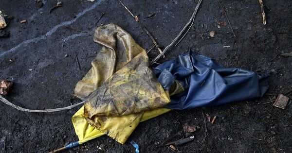 ������� �������� �� ����� ���������� ����� 40 ��������� � �������� ��� ������� ����� ��� ��������