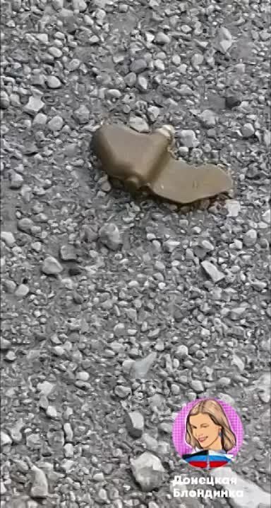 ������� ����-�������� � ������������ ������ �������