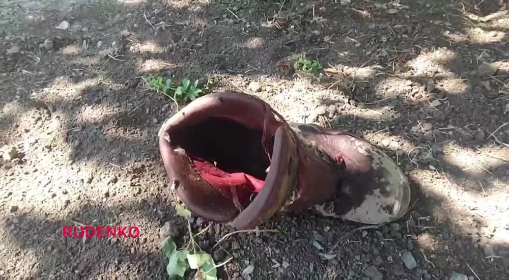 ��� ����� �� ������� � �������� (���), ��� ������� 40 � ������ 75 ������������� ���