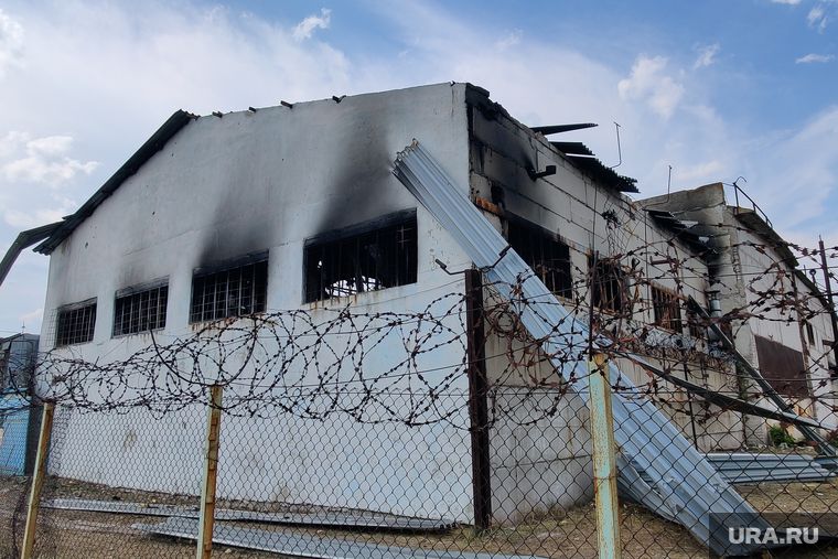 ��������� ����� � ����� ����� �� ������� �������*. �����