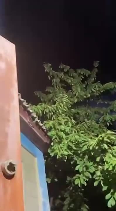��������. ������������ ������� �� ������� ��� �� �����������: