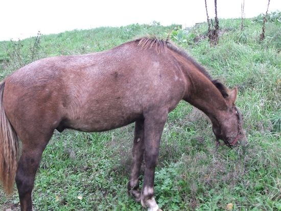 �������� ������� ����� ���������� ��������� ���������