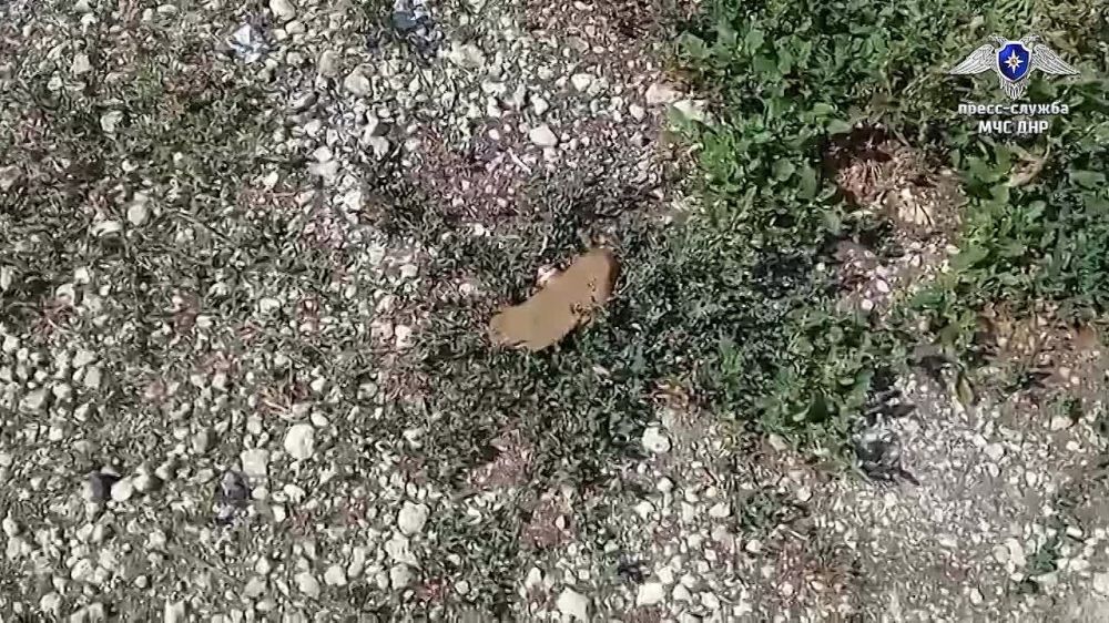 ����������� ��� ��� ���������� ������ �� �������������� ��� ��� 1 � (��������)