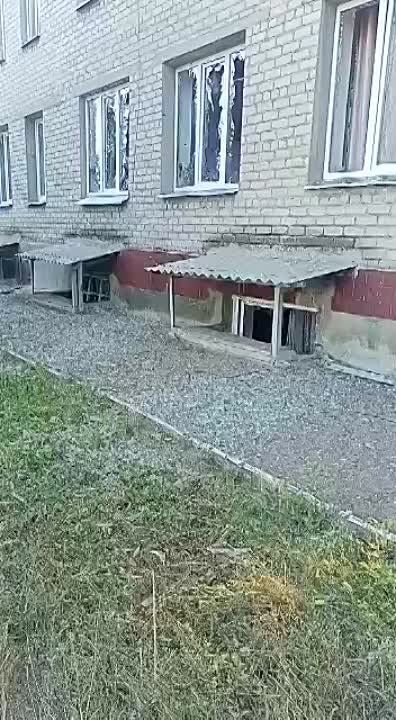 ����������� �������� ����������������� ����������� � 3 (��. �������, 2) � ���������� ������ �������