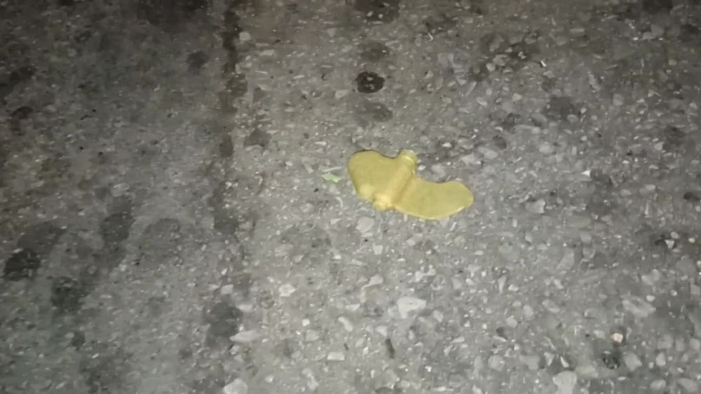 ������������� ����������� ��� ����� ��������� ������� ���������������� ������ ���� ���-1 "��������", ������ ��� ��������� �������������� - ���, ����������, ������������