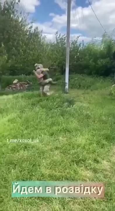 ��������� ����������� ��������� ����