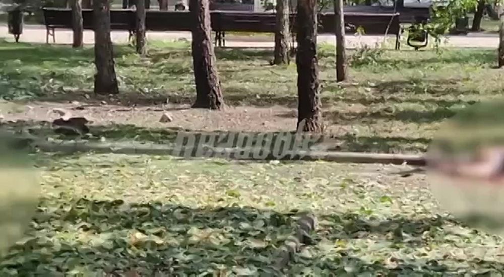 � ������ ������ ����� ����������� ���� ���� ������ � �������, ��� ������� �� �����