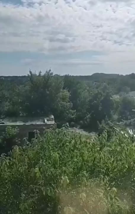 �������� ��������� ���������� ����������� �������� �������� � ��������� �������� ��� �������� �������