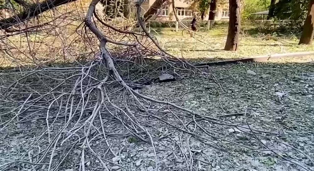 ����� ������������� ������������ ������ ���������� ��������� � ����������� �������� ������ �� ������� ���