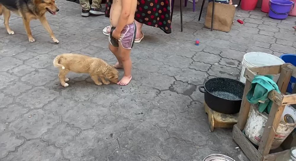 �������� ������ ���� �� ����� ������� � ���������, ��� �������� �� ���������