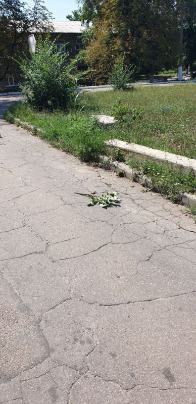 ��� ����� ���������� ������ ������������ ������-����������, ��� ���� ������ ���������� ��������������� ����������� ��������������� �������� � ��������� ������ ������