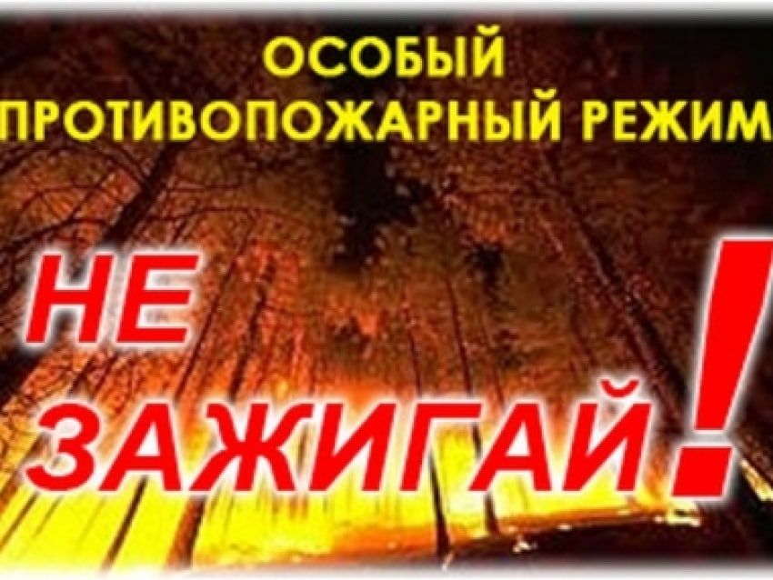 ���� ������: �� ������ �������������� ��� ���, � 09 ������� 2022 ���� � ��������