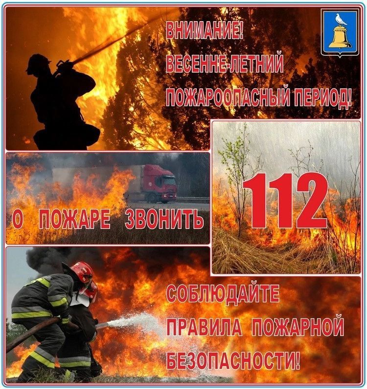 ������ �������: