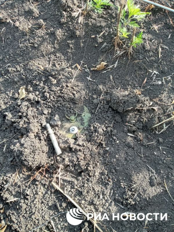 ���������� ������� �������� ������ �� �������� � �������� � ��� ��������� ������ DM31
