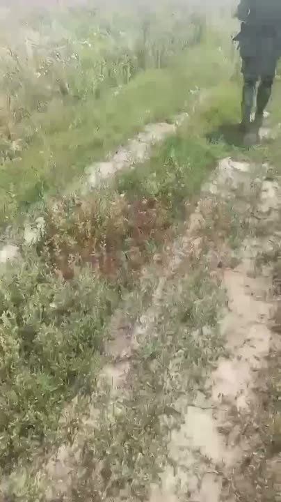 ��������� WG ��������� ������ ����� ������ � �������