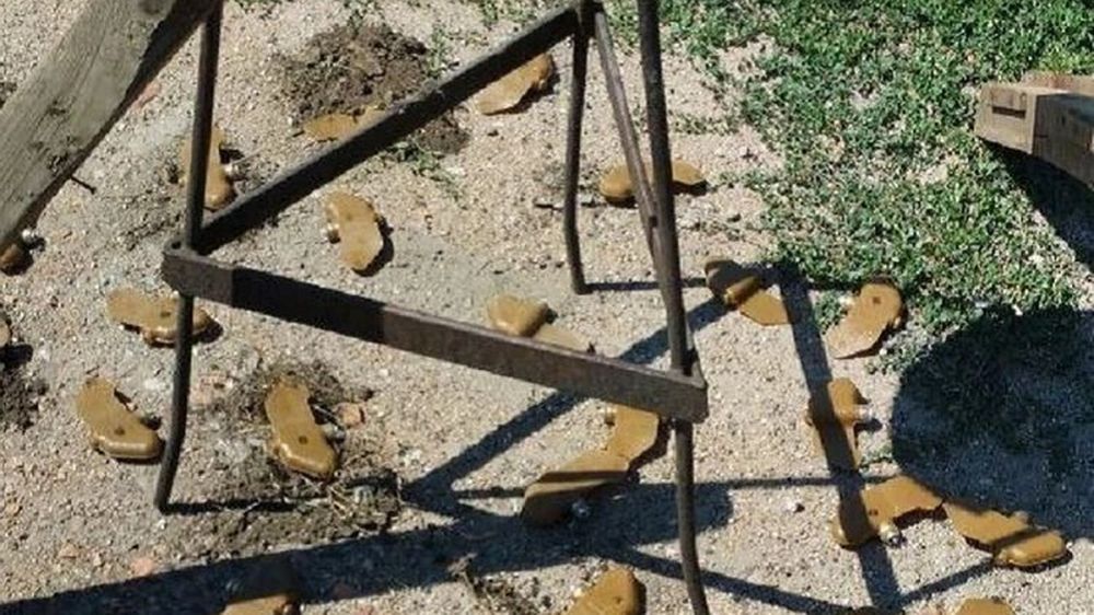 � ��� ����������, ��� � ������� ���� ����� 90 ����� � ������������ ������ "��������"