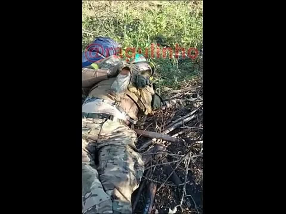������ ����! ������ �������� � ����������!