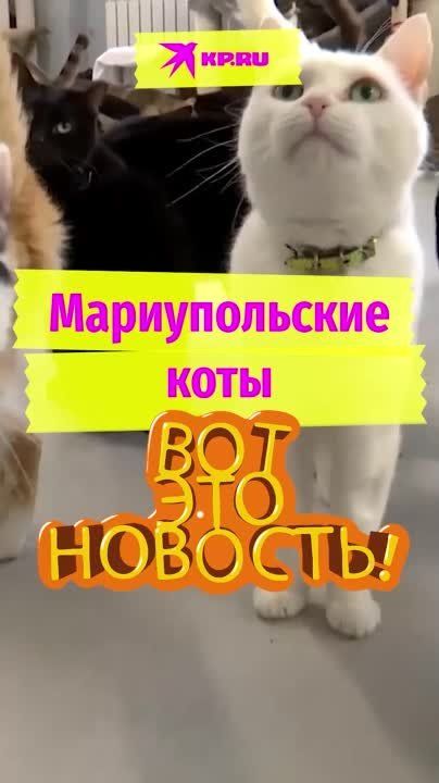 � ��������� ������� �������� �������� ��� ����� ����� � ������, �� ������, ��������� ������������� ����������, � ���� ������� �������� ���� �� ����� �����
