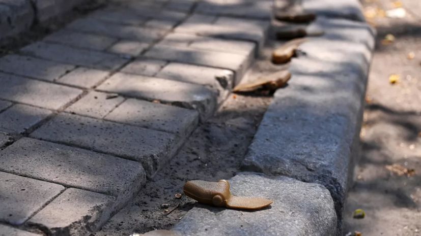 � ��� ������� � 38 ������� ������� ������ ������� �� ���������� ����� ���������