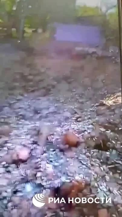 ������� "������" ������ �������� �� �������� ������ ����� ���������� ������� ����� "������� �����" � �������������� ����� ��������� ���-���� (�� ���������� ����������� ��� ��������), �������� ������������� ��� �������
