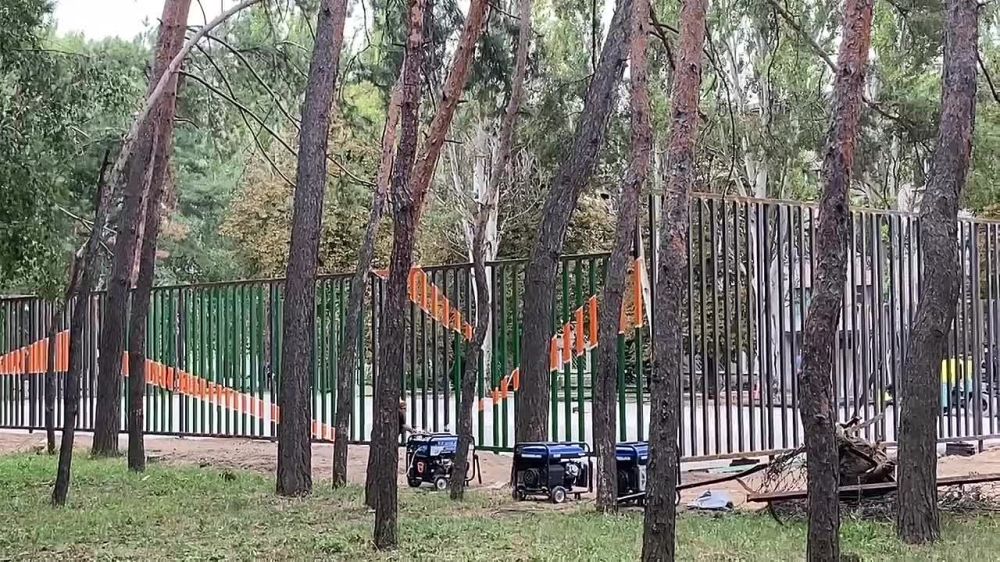 �������������� ������������� ����������� ��������� ������ �� �������������� ����-����������� ����