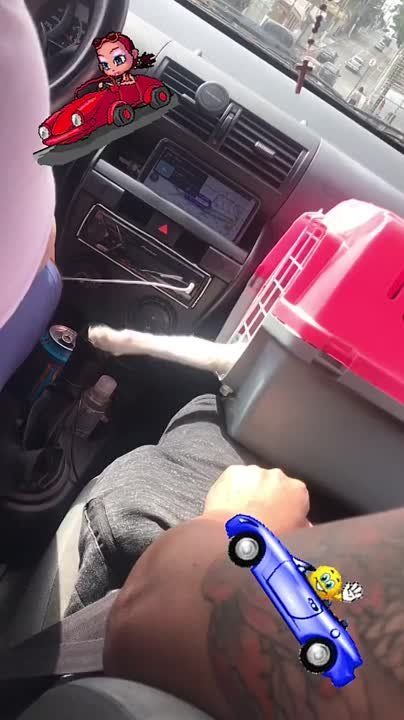 ����� ����� �� ������� �� ����� ��������