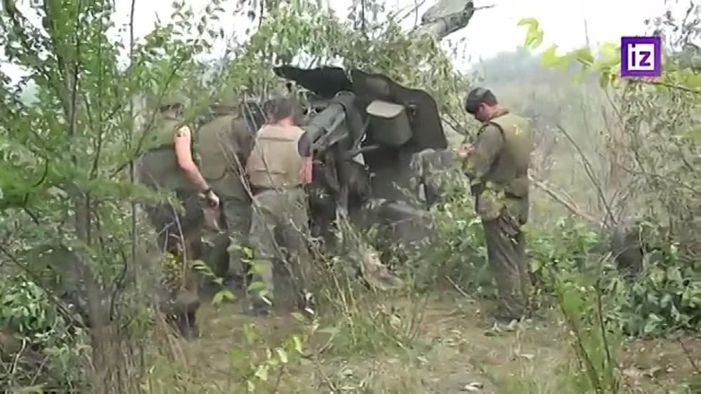 ��������� ��������. ������ ������������� 1-�� ���������� ������� �� ��� �� �������� ��� � �������� ������� ������� "��������" ��������� ��������