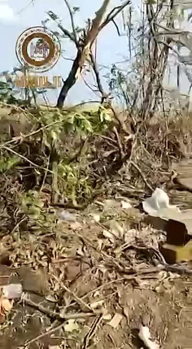 ������ �������: ����� �������� "�����"��� ������������ ������������ ����������� ��������� ������ "������" ������������ ������ ��������� ������������� ������ ������� ��� ��������� (���)