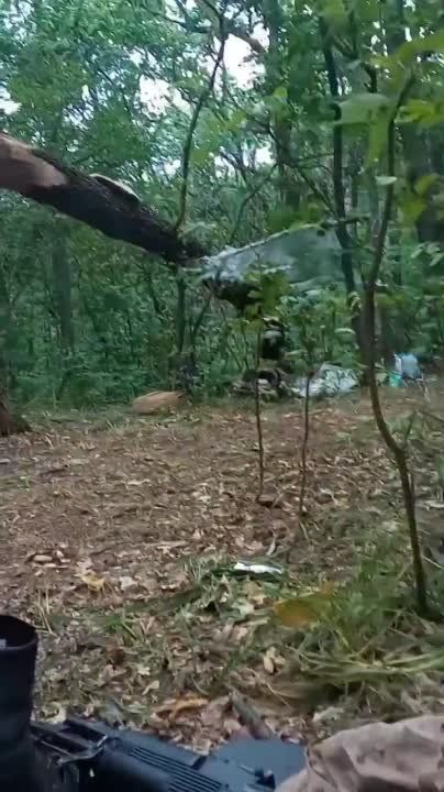 ����� �� ���� ������ "����������� ����" �� ���������� �����������