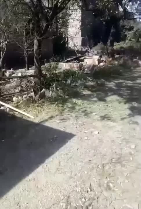 ���� ������� ����� ��� ���������� ��� � ��������