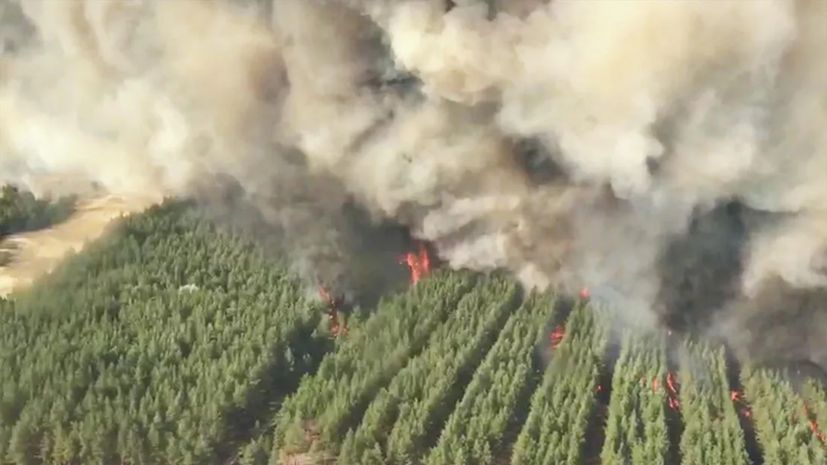 ������� ������� ������ � ���������� ������� ����������� �� 252 ��