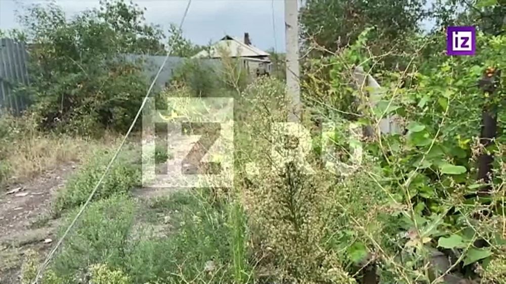 ���� ������������� �������� ����� �������� � ������ �� ���������� ������� � ������������� ���, ������ ���������� �������������� ������ � ���������