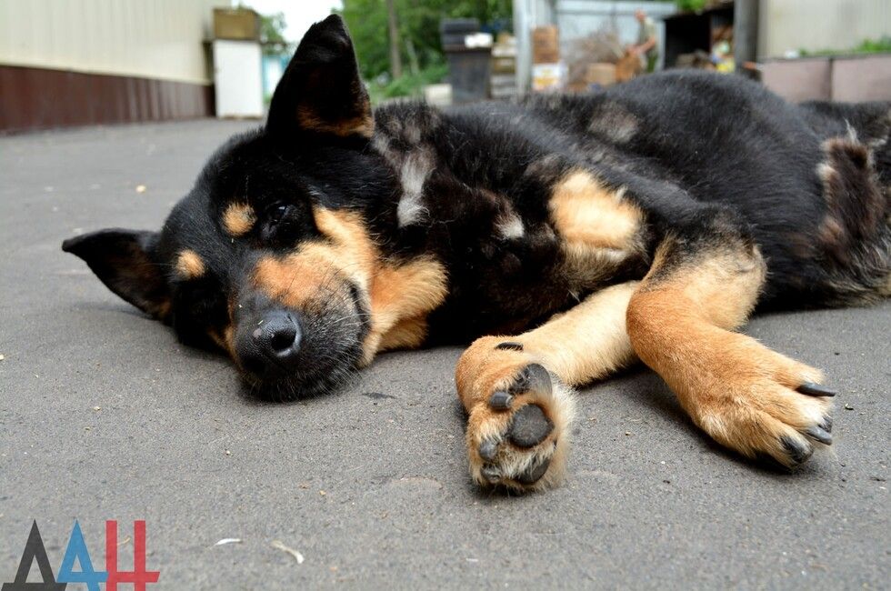 �������� ������ ���������� ���������� �������������� ���������� � ��� ����� ��� ��������